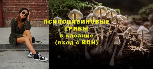 метадон Арсеньев