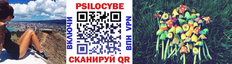 Галлюциногенные грибы прущие грибы  Шелехов 